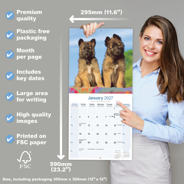 Belgian Shepherd Dog Calendar 2027