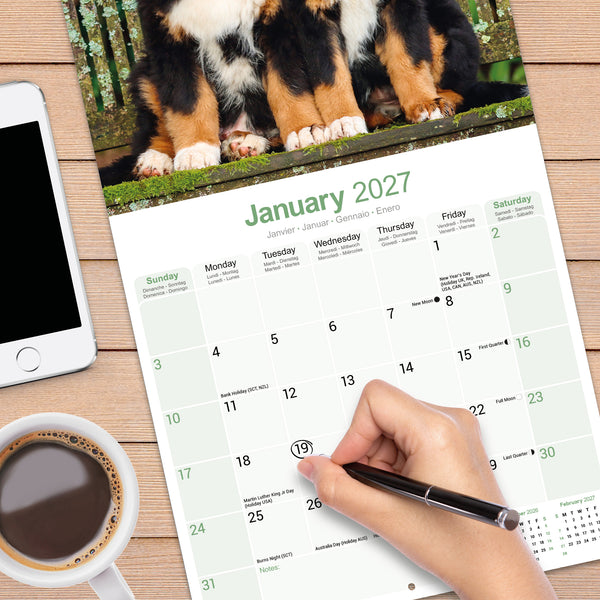 Bernese Mountain Dog Calendar 2027