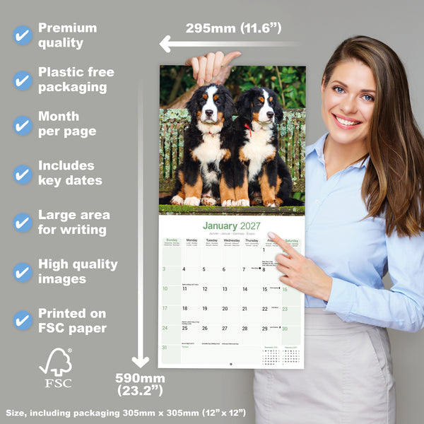 Bernese Mountain Dog Calendar 2027