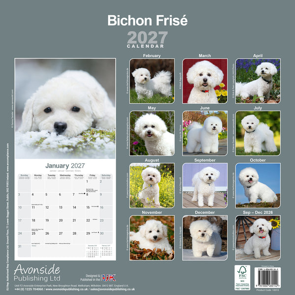 Bichon Frise Calendar 2027