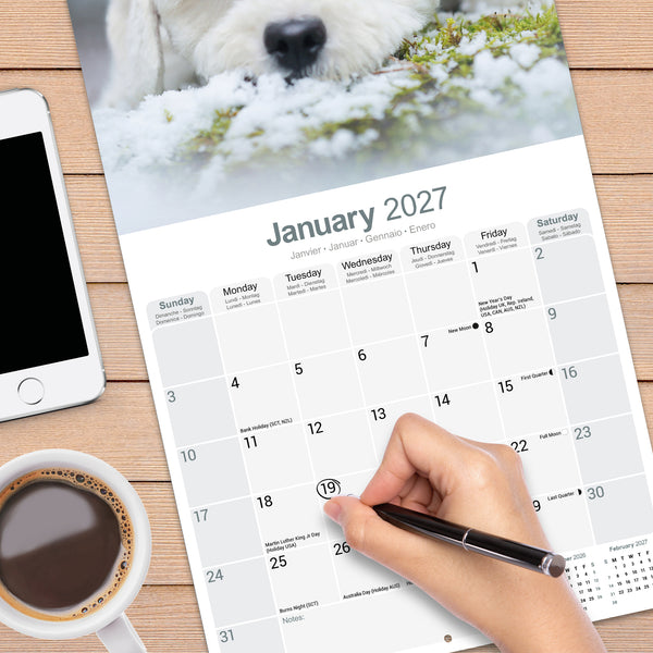Bichon Frise Calendar 2027