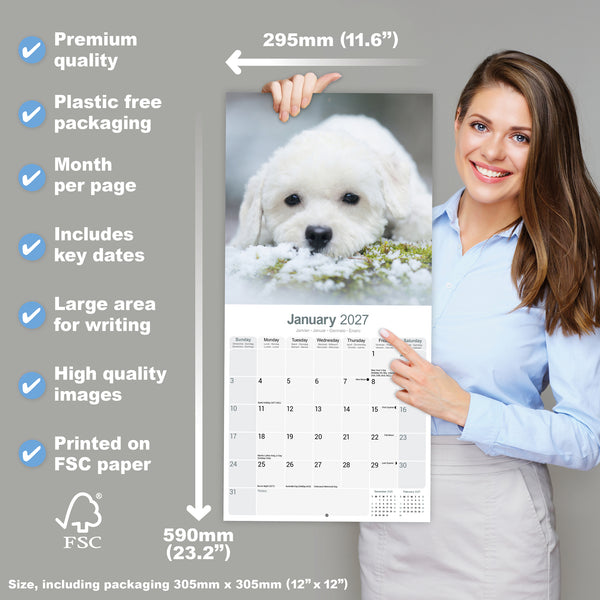 Bichon Frise Calendar 2027