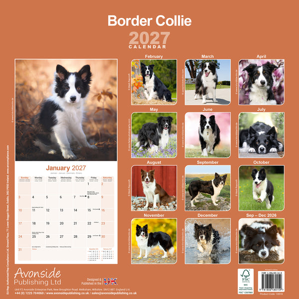 Border Collie Calendar 2027