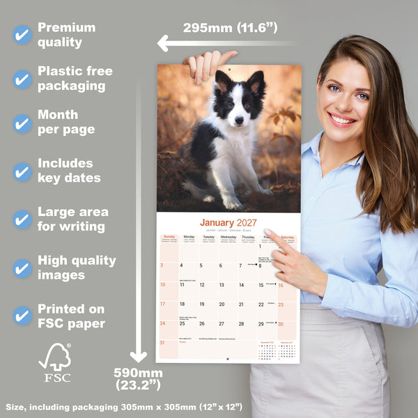 Border Collie Calendar 2027