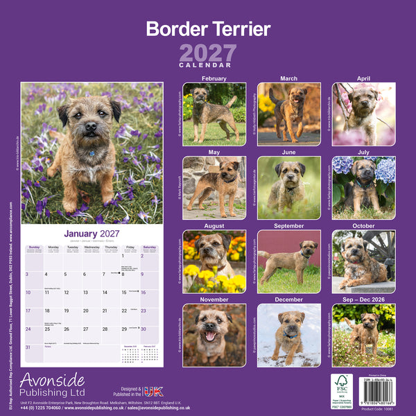 Border Terrier Calendar 2027