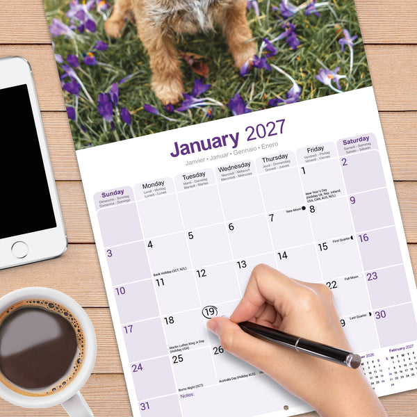 Border Terrier Calendar 2027