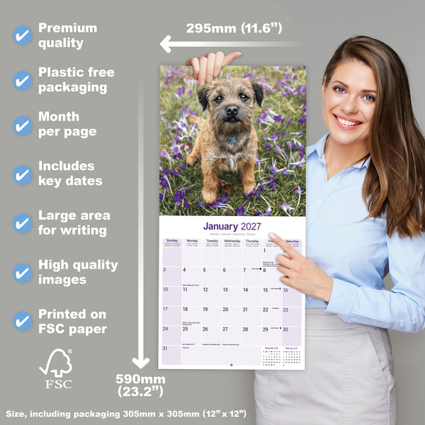 Border Terrier Calendar 2027