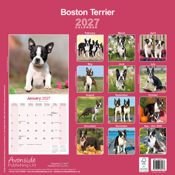 Boston Terrier Calendar 2027