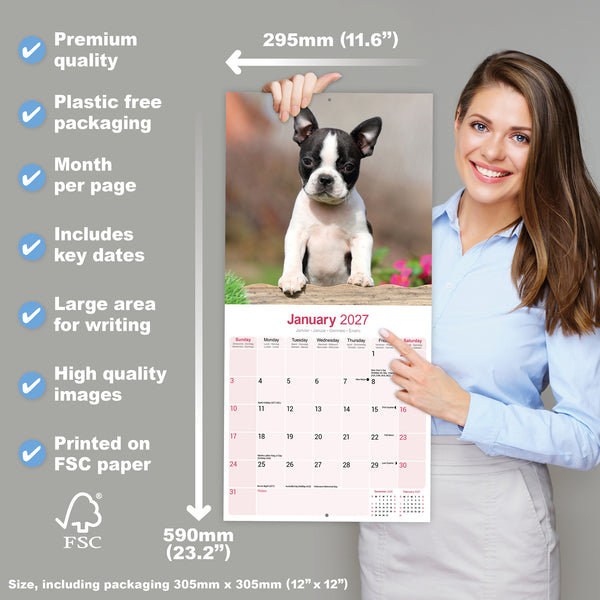 Boston Terrier Calendar 2027