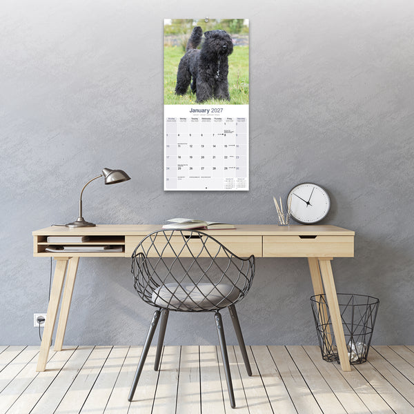 Bouvier des Flandres Calendar 2027