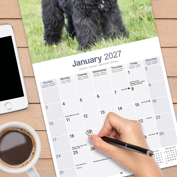 Bouvier des Flandres Calendar 2027
