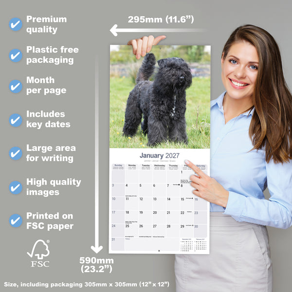 Bouvier des Flandres Calendar 2027