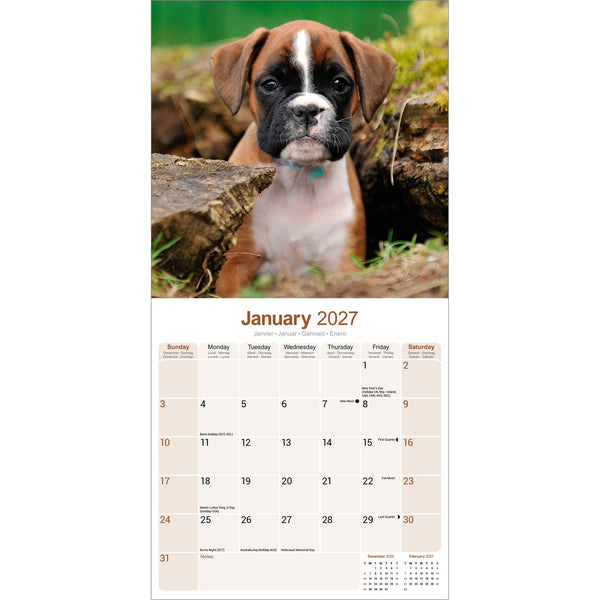 Boxer Calendar 2027