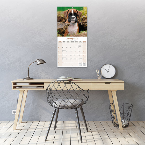Boxer Calendar 2027