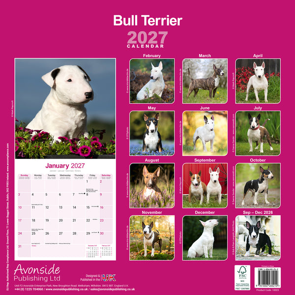 Bull Terrier Calendar 2027