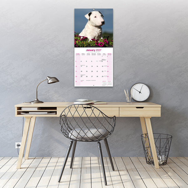 Bull Terrier Calendar 2027