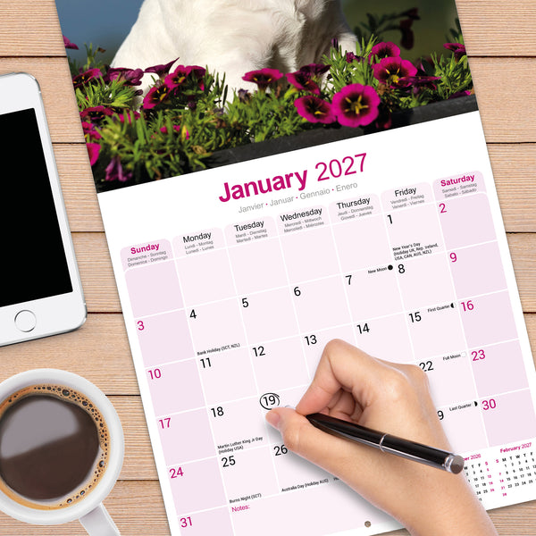 Bull Terrier Calendar 2027