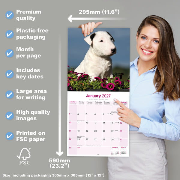 Bull Terrier Calendar 2027