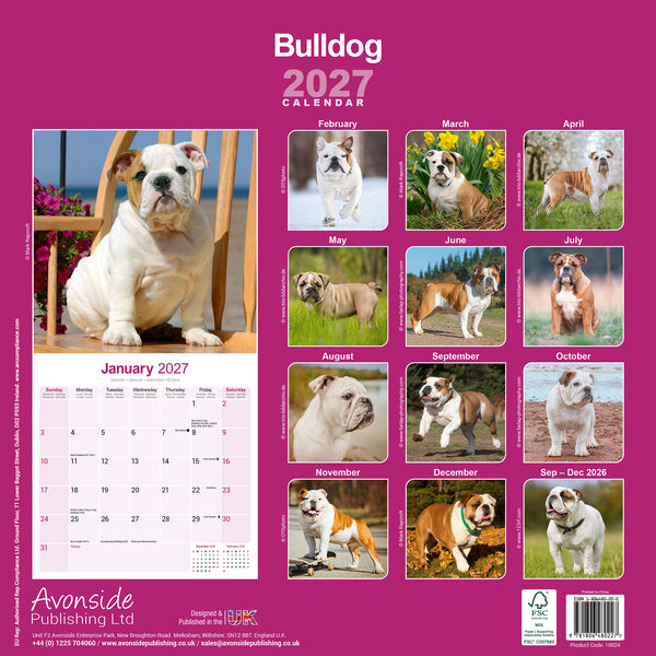Bulldog Calendar 2027