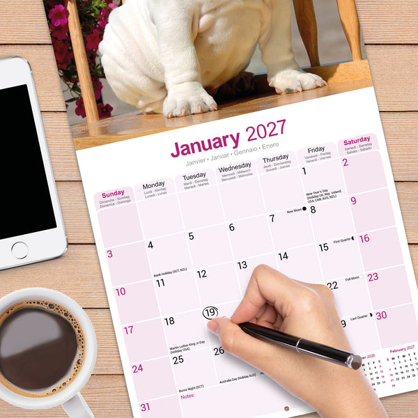 Bulldog Calendar 2027