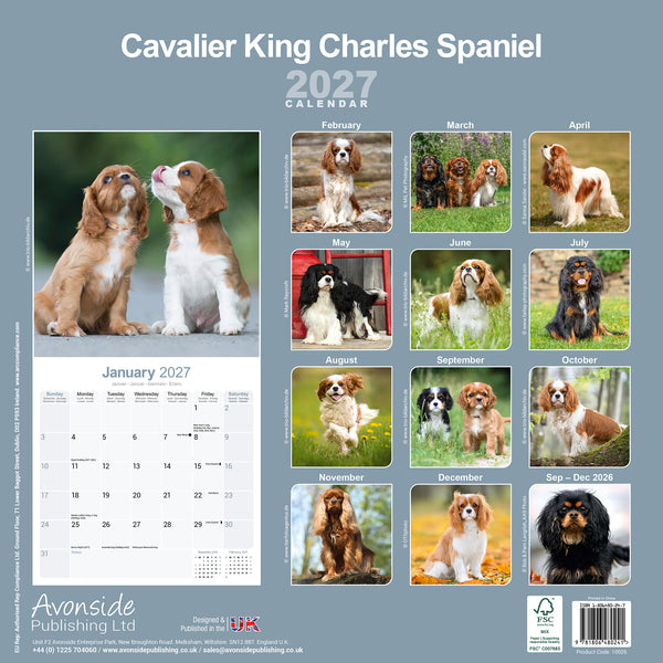 Cavalier King Charles Spaniel Calendar 2027