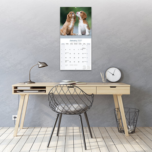 Cavalier King Charles Spaniel Calendar 2027