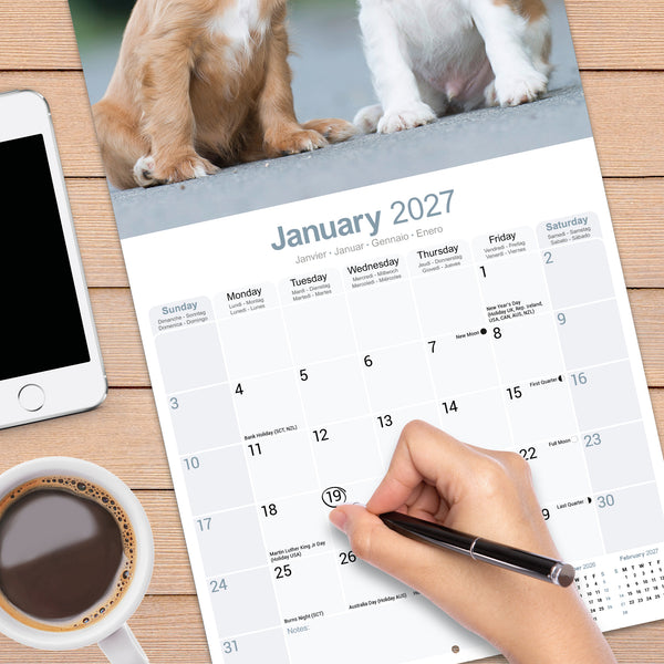 Cavalier King Charles Spaniel Calendar 2027