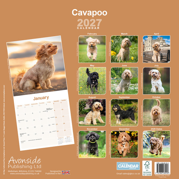 Cavapoo Calendar 2027