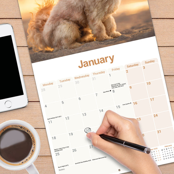 Cavapoo Calendar 2027