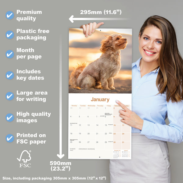 Cavapoo Calendar 2027