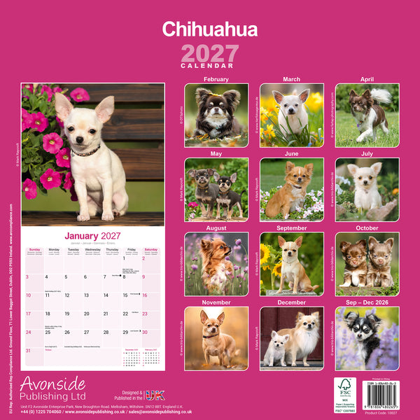 Chihuahua Calendar 2027