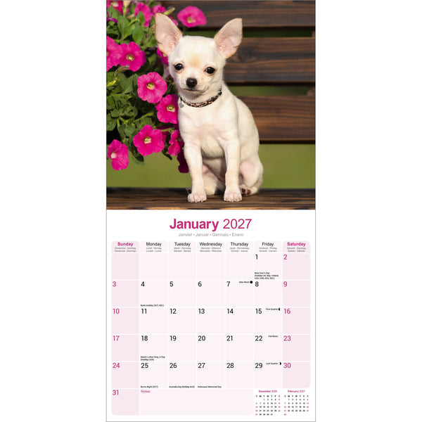 Chihuahua Calendar 2027