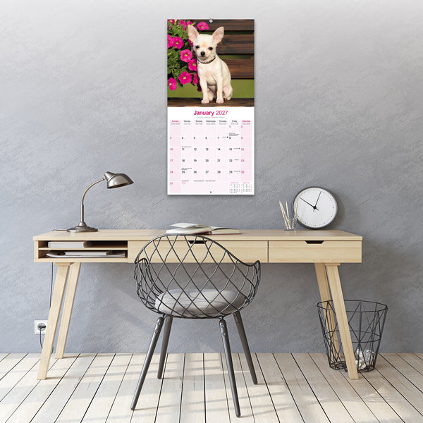 Chihuahua Calendar 2027