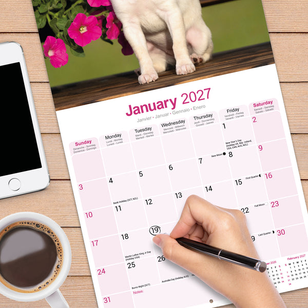 Chihuahua Calendar 2027