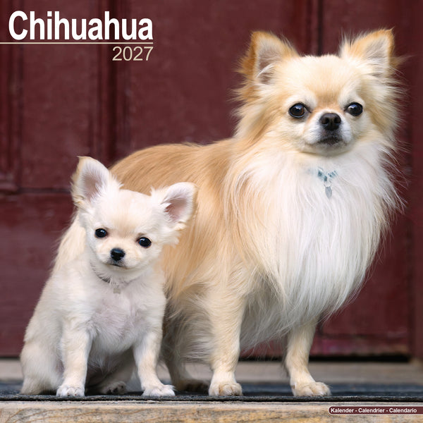 Chihuahua Calendar 2027