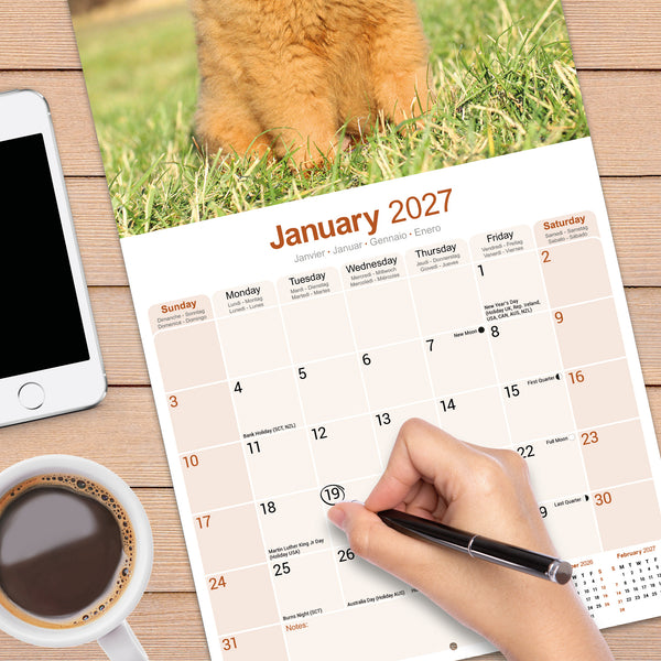 Chow Chow Calendar 2027