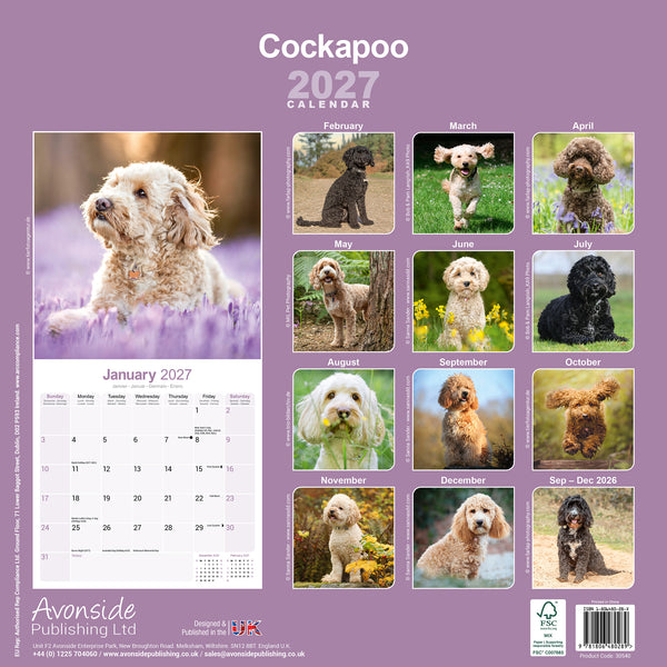 Cockapoo Calendar 2027