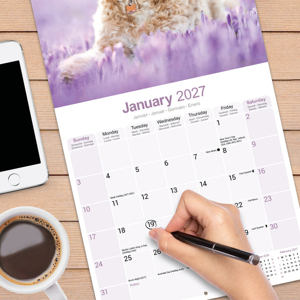 Cockapoo Calendar 2027