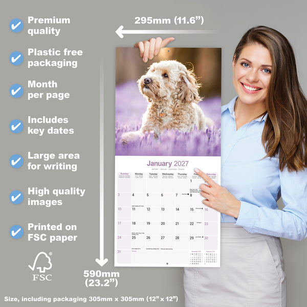 Cockapoo Calendar 2027