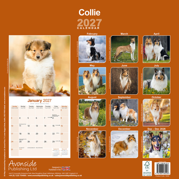 Collie Calendar 2027