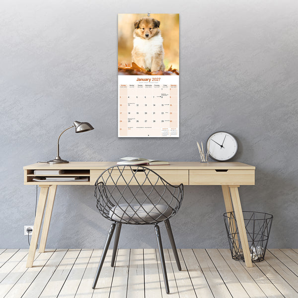 Collie Calendar 2027