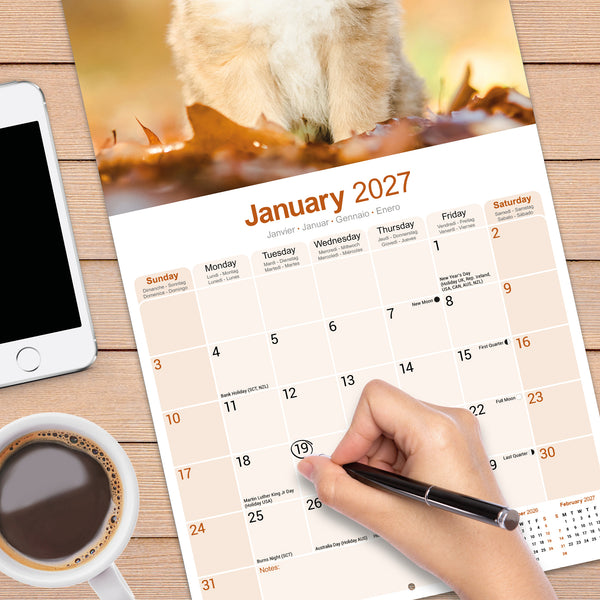 Collie Calendar 2027
