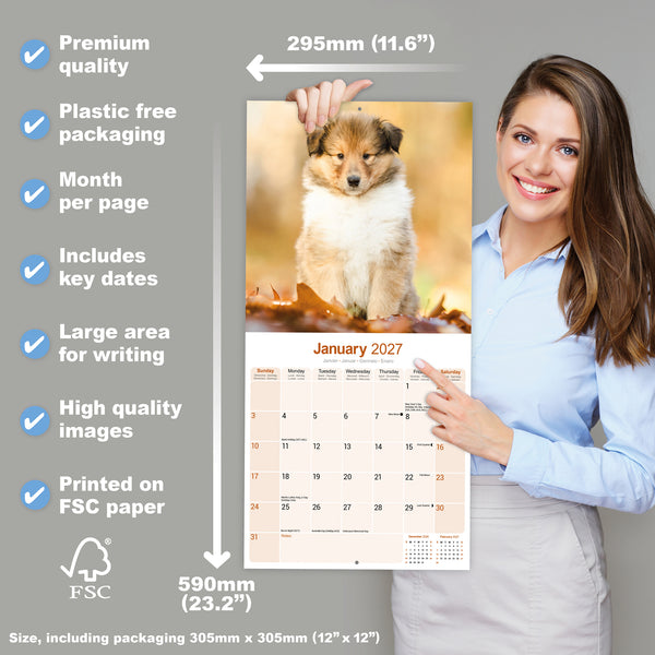 Collie Calendar 2027