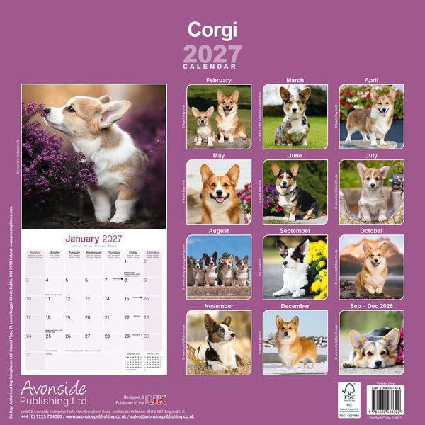 Corgi Calendar 2027