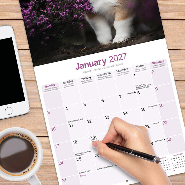 Corgi Calendar 2027
