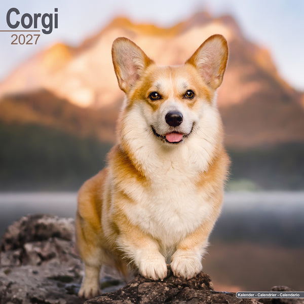 Corgi Calendar 2027