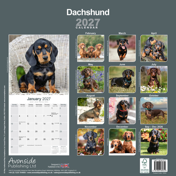 Dachshund Calendar 2027