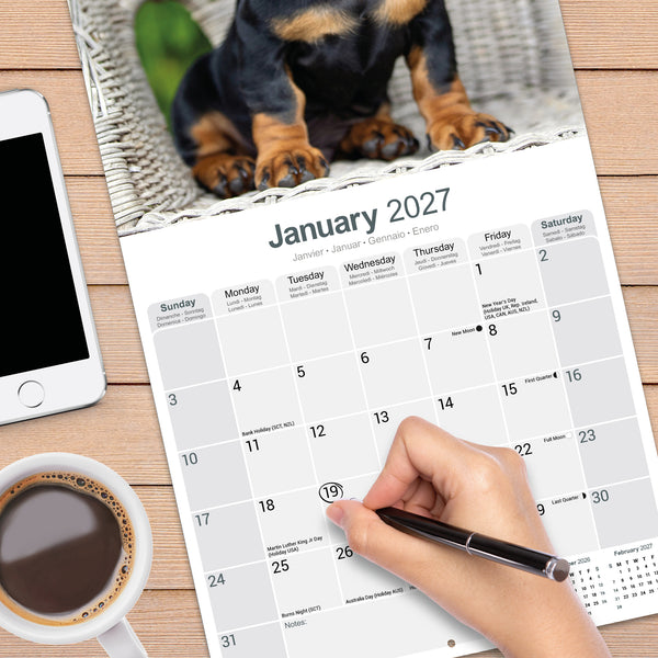 Dachshund Calendar 2027