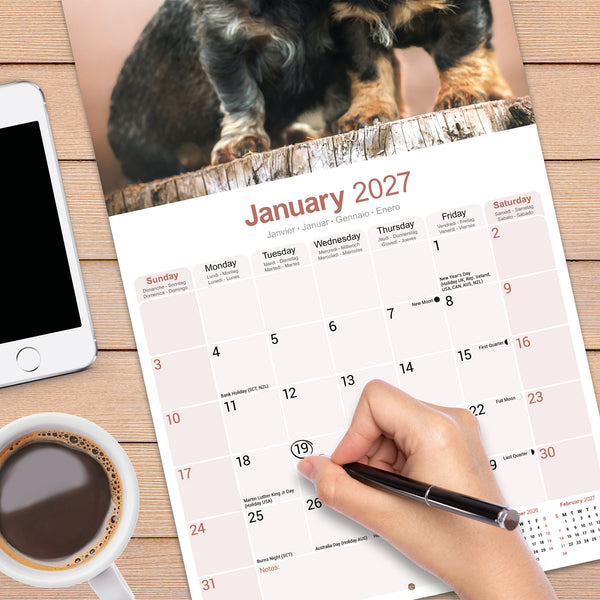 Dachshund Wirehaired Calendar 2027