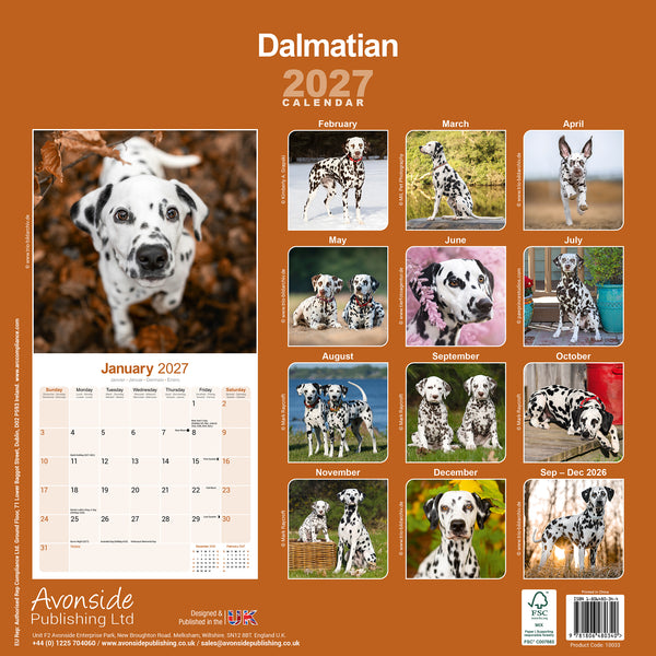 Dalmatian Calendar 2027